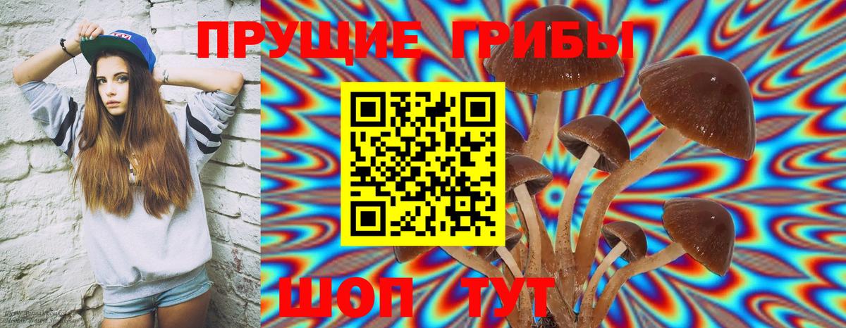 Псилоцибиновые грибы Cubensis Саянск